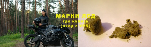 стаф Арсеньев