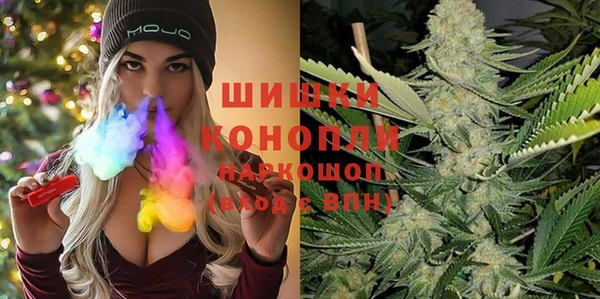 стаф Арсеньев