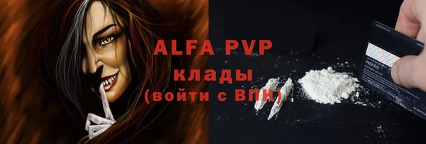 стаф Арсеньев
