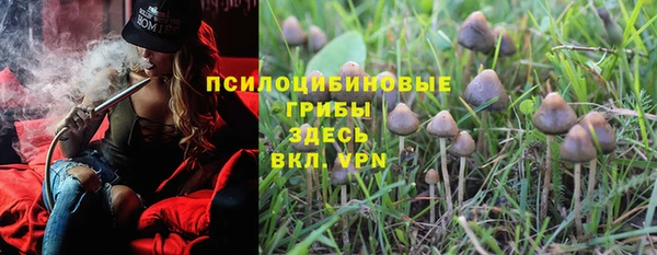 2c-b Аркадак