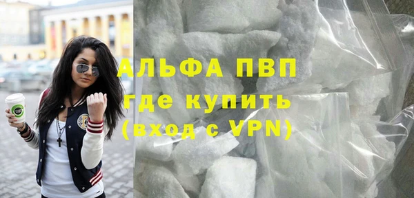 стаф Арсеньев